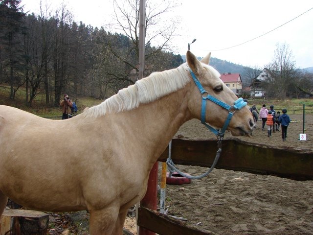 Hubertus 2010